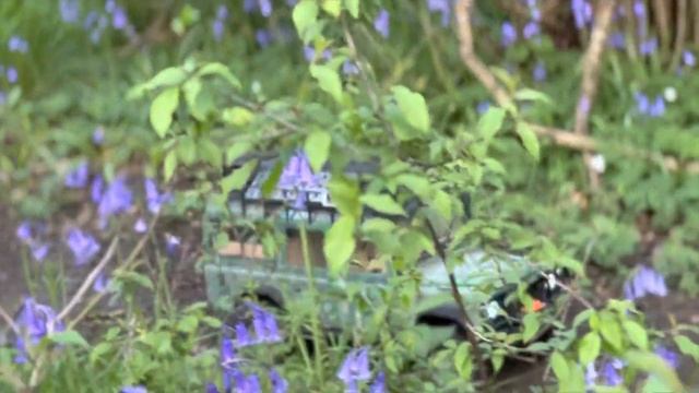 3D Printed Land Rover Defender смотреть онлайн