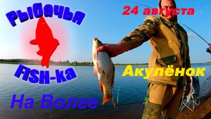 Рыбалка на Волге. Часть 3 - Акуленок!