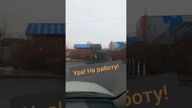 В понедельник на работу. Юмор.