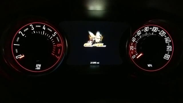 Scat Pack Animation in Slow Motion