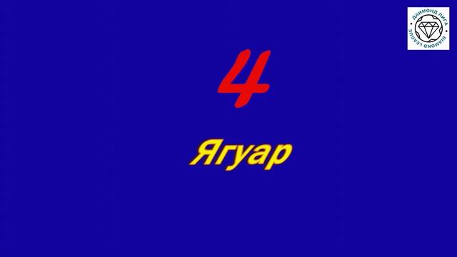 Даймонд Лига 2018-2019, 3 тур: Альянс – Ягуар, смотреть онлайн