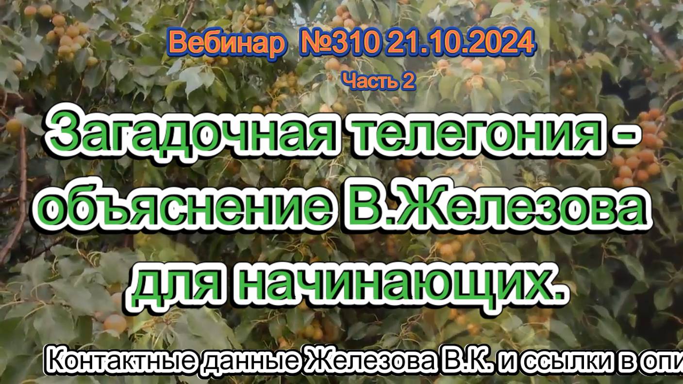 Железов Валерий. Вебинар 310. ч.2. Загадочная телегония - объяснение В.Железова для начинающих.