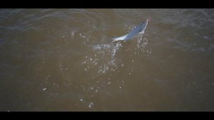 Рыбалка на реке Амур. Поздняя осень.