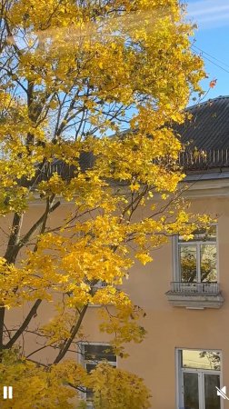 Новые долгожданные цветоносы, результат от Максима на Каменной розе