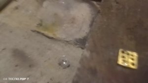 VID_20241019_210019.mp4