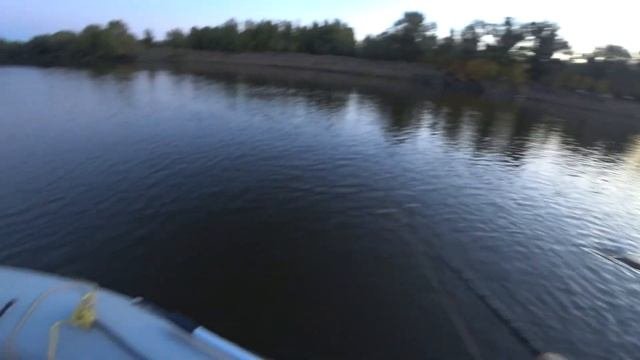 Ахтуба. Вода упала, ищу рыбу на перекатах.