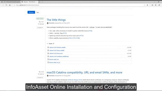 InfoAsset Online - Installation and Configuration смотреть онлайн