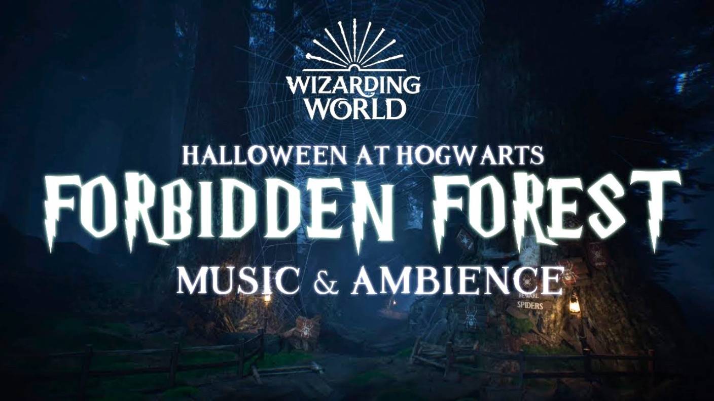 Запретный Лес 🎃 Halloween at Hogwarts w - Spooky Harry Potter Music & Ambience