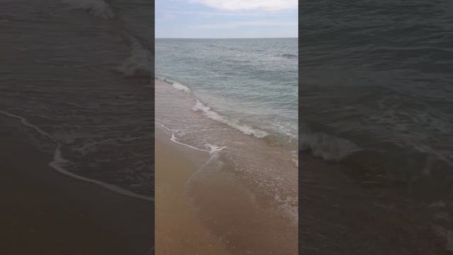 Черное море, Крым 2015, Беляус
