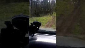 Истринский р-н, п. Пионерский, линия обороны 1941