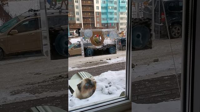 ощущайщики погоды смотреть онлайн