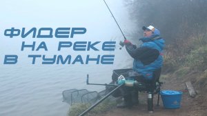 Фидер в тумане