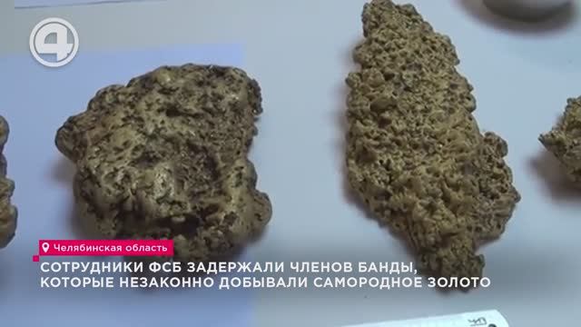 Сотрудники ФСБ задержали членов банды, которые незаконно добывали самородное золото