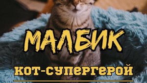 МАЛБИК - Кот - Супергерой