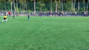 СтрелаЛьвы-Красносельск