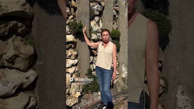 О зимостойкости хвойных растений.