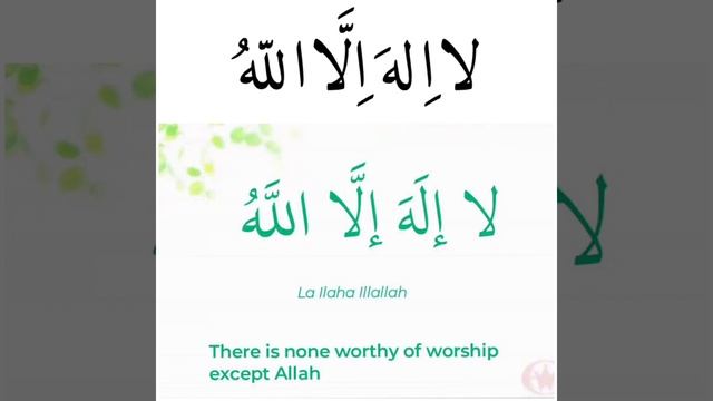 La ilaha illallah لا إله إلا الله Zikr смотреть онлайн