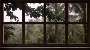 4K FAKE WINDOW : 1 HOUR ⛈🌴  AMAZONIAN JUNGLE UNDER THE RAIN   🌴 ⛈ FOR PROJECTOR