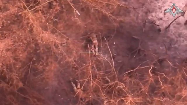 Уничтожение живой силы ВСУ оператором боевого БпЛА