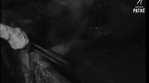 кузнец и лошадь, ковка подков и подковывание лошади.