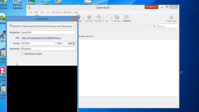 SAP Business One Integration Framework How To connect using webdav смотреть онлайн
