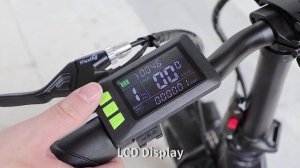 RANDRIDE Foldable Commuter Electric Bike 1000W 20"x4.0" Fat Tire Folding Travel Electric Bicycle