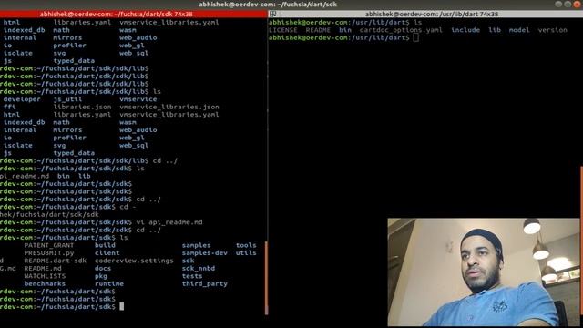 Dart 2.5 : Little sneak peak on SDK before dart::ffi
