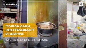 Тараканы, контрафакт и шины: Тайны одного этнокафе