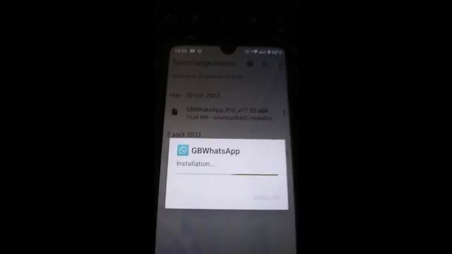 GBWHATSAPP PRO V17 55 MISE A JOUR EFFECTIVE