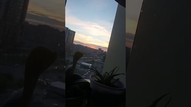 Асмр в домашних условиях 👁️👄👁️ смотреть онлайн