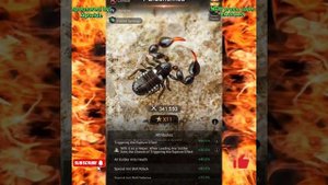 NEW carrier insect! Parachenes! New carrier meta?〡The Ants: Underground Kingdom
