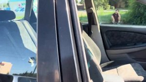 Toyota Caldina, 1998 год.