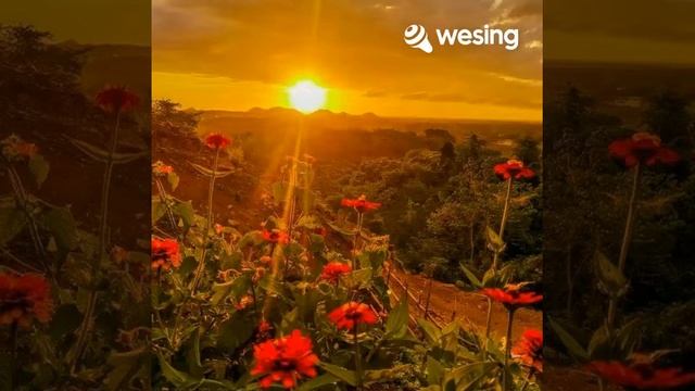 Sungdo Ni Ayat смотреть онлайн