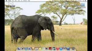 How to change your desktop background on your Mac