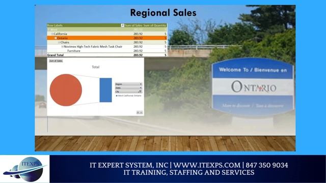 Business Data Analysis Excel Project | #pivot  | #excel  | IT Expert System, INC