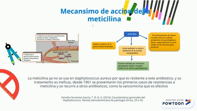 leeroy bustamante S. aureus смотреть онлайн