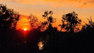 Веление для выхода на высокие вибрации.