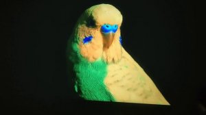 VIVIBRIGHT D1000- 1080P Light off Testing with screen size 100 inches