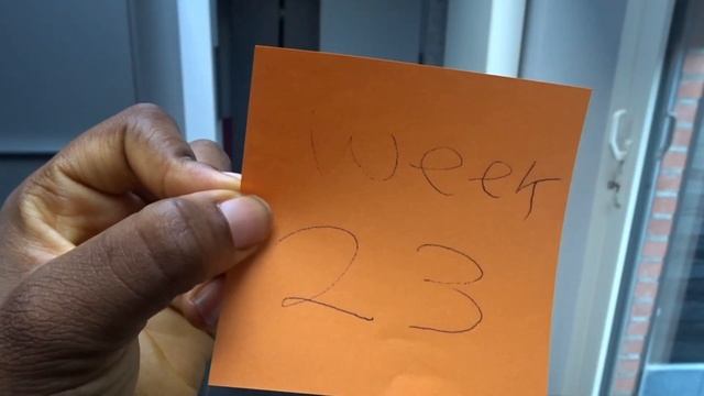 Pregnancy transformation/week by week belly progression (6 - 40) смотреть онлайн