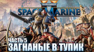 Warhammer 40000 Space Marine 2 / Часть 5 / СТРИМ