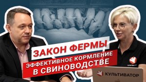 Как устроено свиноводство в России? | Кормление поросят и свиноматок | Закон фермы