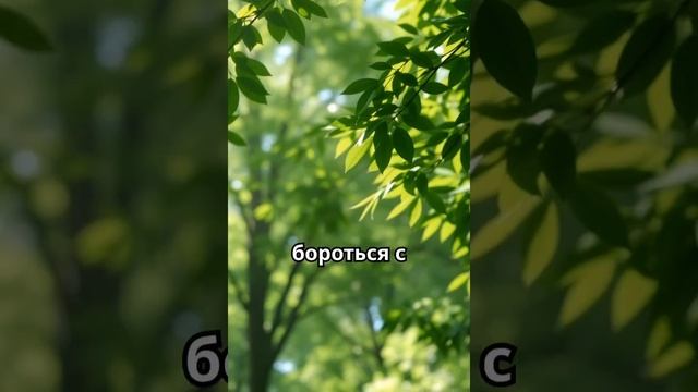 О правильном дыхании  #здоровье #факты