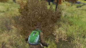 Нарезка килов в DayZ #2