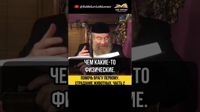 (2) Помочь врагу первому 😲 Страдание животных. Часть 2