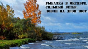 12 октября. Сильный ветер. Рыбалка на дроп шот