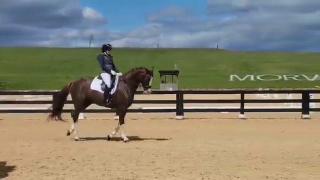 Amanda Braun - Warm Up 4th Level смотреть онлайн