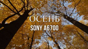 ОСЕНЬ - Sony a6700