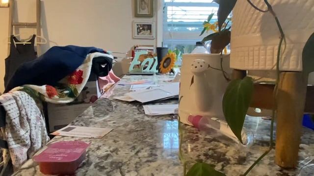 NEW! NIGHT TIME CLEAN W/ME! DAY OFF IN MY LIFE! + TARGET HAUL смотреть онлайн