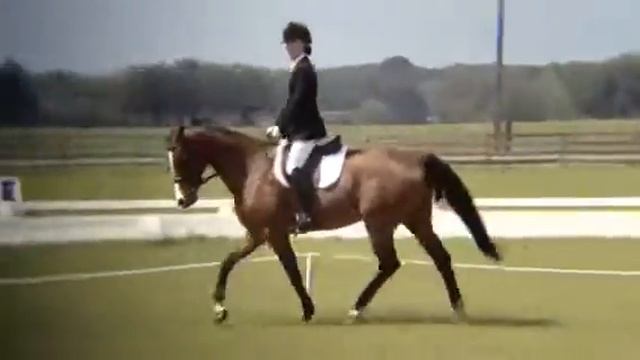 Leo aka Bloomsday drsg @ RH3 смотреть онлайн