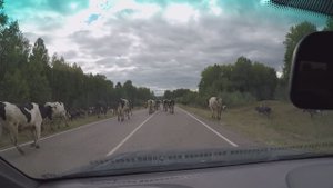 Дорога на Тургояк
